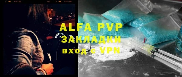 мдпв Вяземский