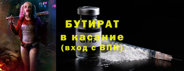 мдпв Вяземский