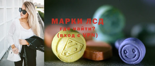 мдпв Вяземский