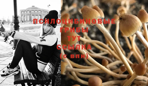 мдпв Вяземский