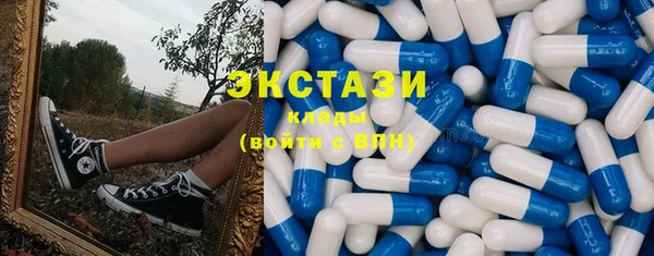 мдпв Вяземский