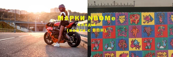 мдпв Вяземский