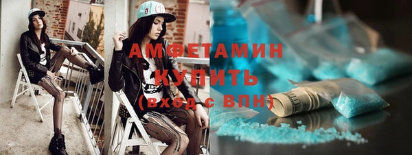 мдпв Вяземский