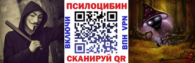 Галлюциногенные грибы Psilocybine cubensis  Мариинск 